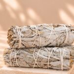 Biela šalvia – vykurovací zväzok 10 cm - Očista Priestoru a Energie