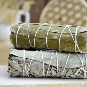 Vykurovacie zväzky BIELA ŠALVIA + EUKALYPTUS- Očista, Ochrana, Meditácia, Imunita, Antivirotikum