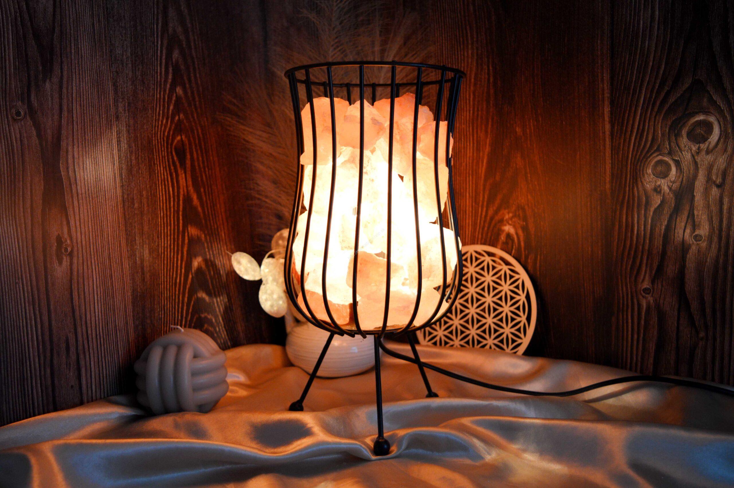 EL. Industriálna Lampa s Ružovou HIMALÁJSKOU SOĽOU #1