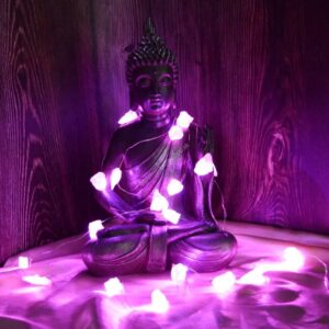 LED svetelná reťaz - surový RUŽENÍN cca 19 kamienkov , 227cm