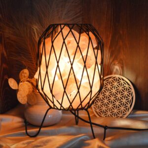 EL. Industriálna Lampa s Ružovou HIMALÁJSKOU SOĽOU #2