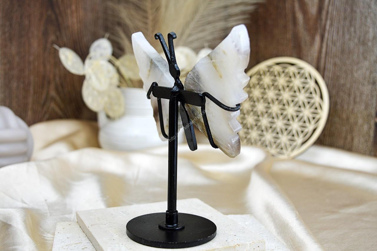 Motýľ Prerodu KRIŠTÁĽ - ZÁHNEDA – Obrázok 3