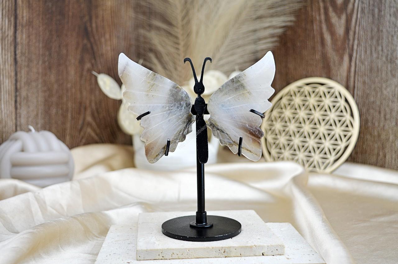 Motýľ Prerodu KRIŠTÁĽ - ZÁHNEDA