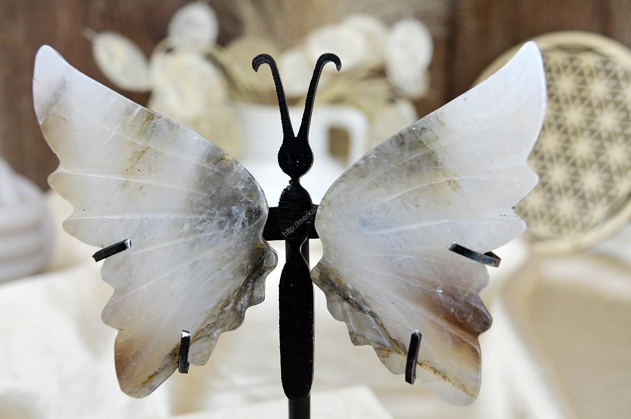 Motýľ Prerodu KRIŠTÁĽ - ZÁHNEDA