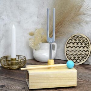 Terapeutická Ladička oprava DNA, FREKVENCIA LÁSKY 528 Hz MI S REZONANČNOU SKRINKOU + AKTIVÁTOR