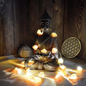 LED svetelná reťaz - surový ORANŽOVÝ JADEIT/KARNEOL cca 19 kamienkov , 227cm