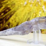 AMETYSTOVÉ Žezlo/ Dračí Zub #8 -Hlboké uzdravenie Duše AAA Kvalita