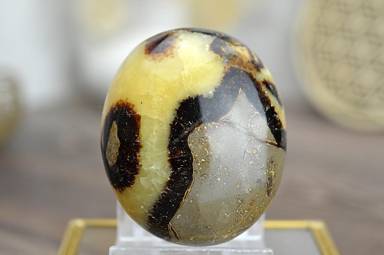 Placka SEPTÁRIA #5 Odvaha, Sebaistota, Hojnosť, Ochrana, Premena, Uzemnenie, Solar plexus