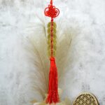 FENG SHUI Ochranný Talizman 6 Mincí Šťastia s Mystickým Uzlom